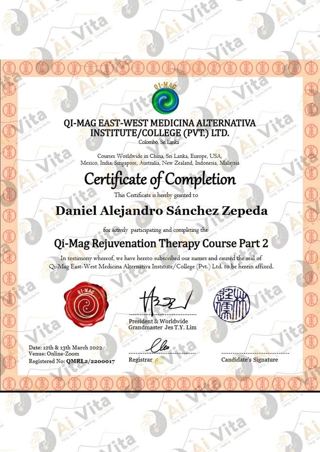 05.-Daniel-Alejandro-Sanchez-Zepeda-Qi-Mag-Rejuvenation-Therapy-Course-Part-2